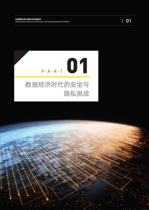 2022全球數(shù)據(jù)合規(guī)與隱私科技發(fā)展報告—技術(shù)開發(fā)篇
