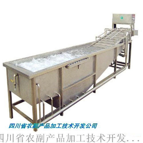 桃干與桃果脯生產一站式解決方案 技術、設備與價格解析