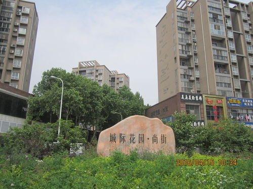 武漢新東物業(yè)管理 全域服務(wù)·專(zhuān)業(yè)護(hù)航每一寸空間